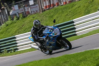 brands-hatch-photographs;brands-no-limits-trackday;cadwell-trackday-photographs;enduro-digital-images;event-digital-images;eventdigitalimages;no-limits-trackdays;peter-wileman-photography;racing-digital-images;trackday-digital-images;trackday-photos